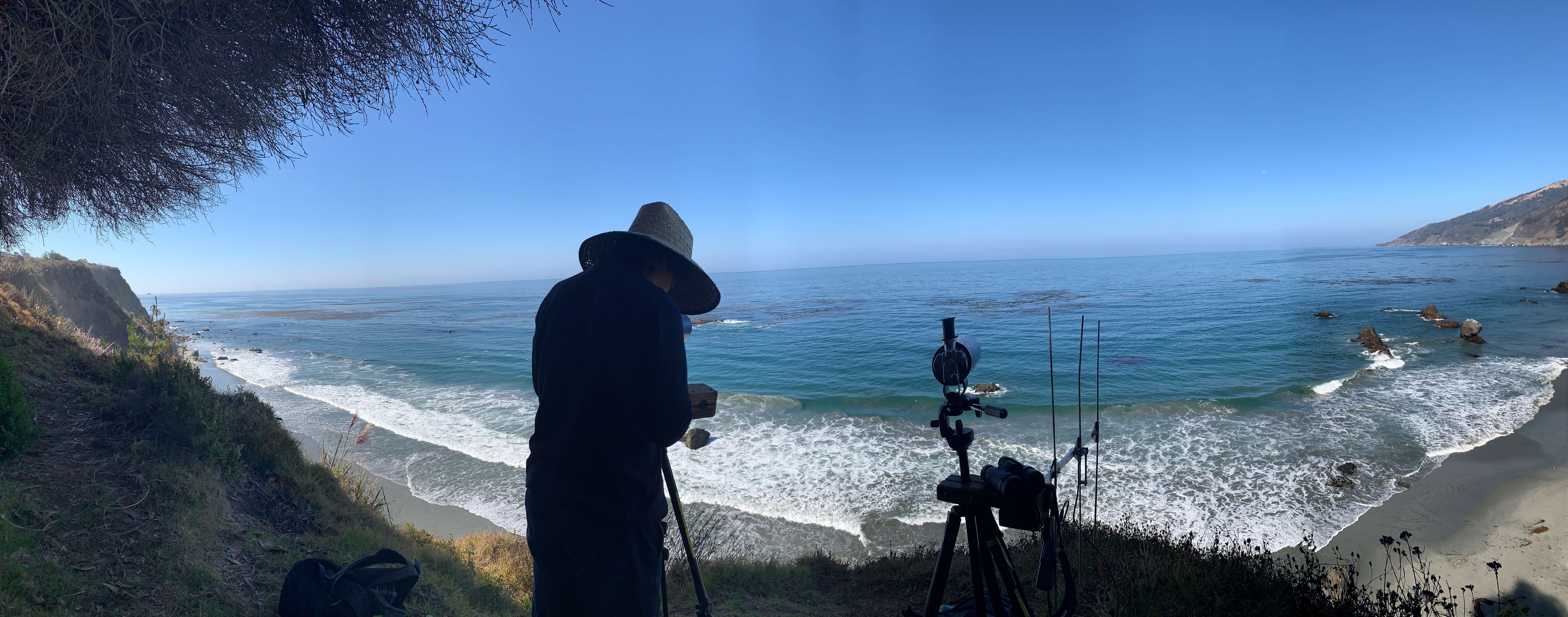 Restorative power of sea otters | Stories | Monterey Bay Aquarium