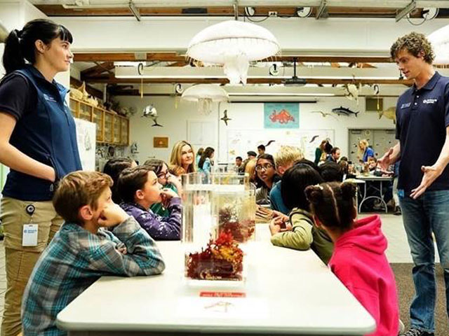 Big little lies sales episode 7 watch online