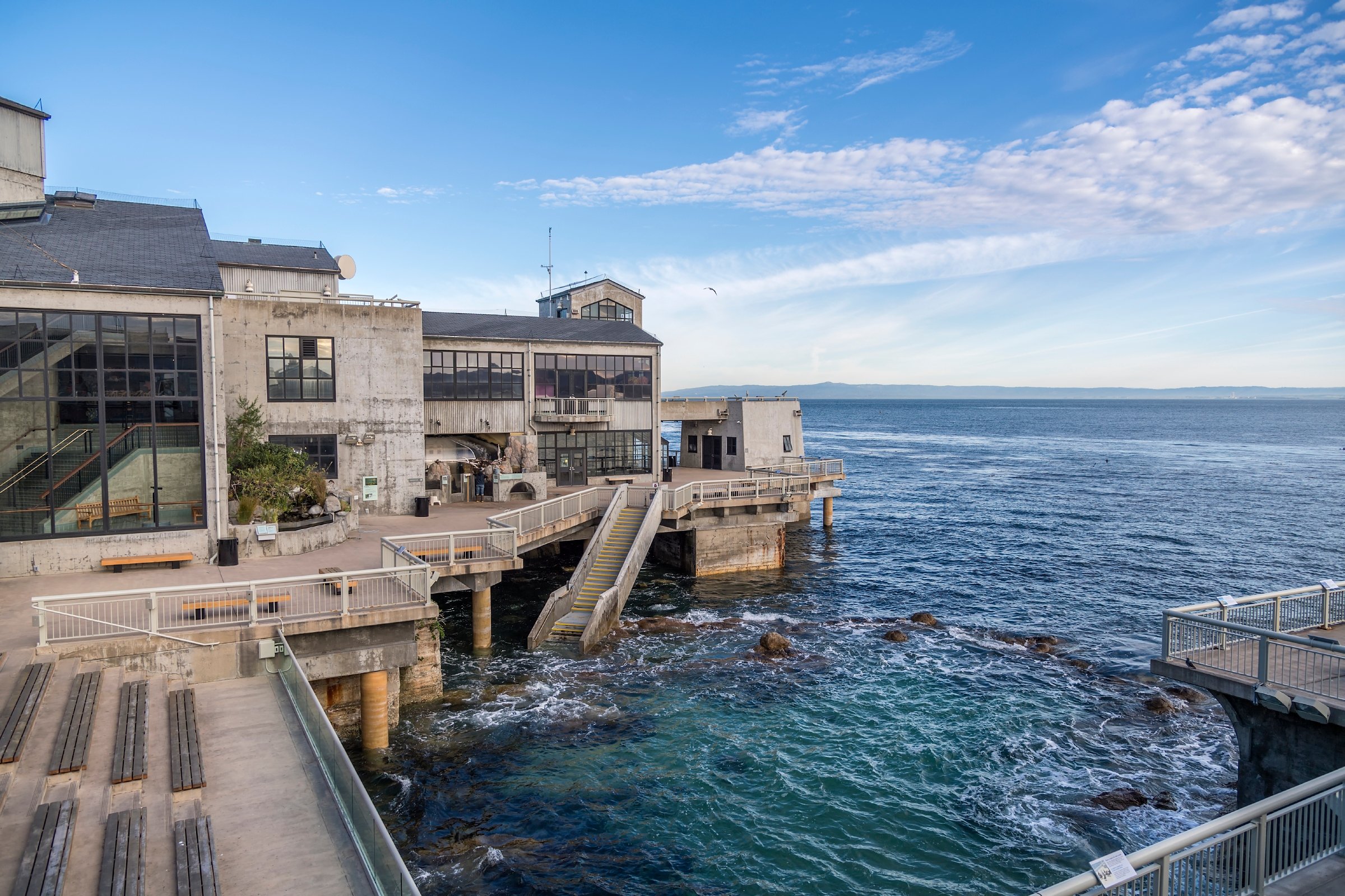 visitor-frequently-asked-questions-monterey-bay-aquarium