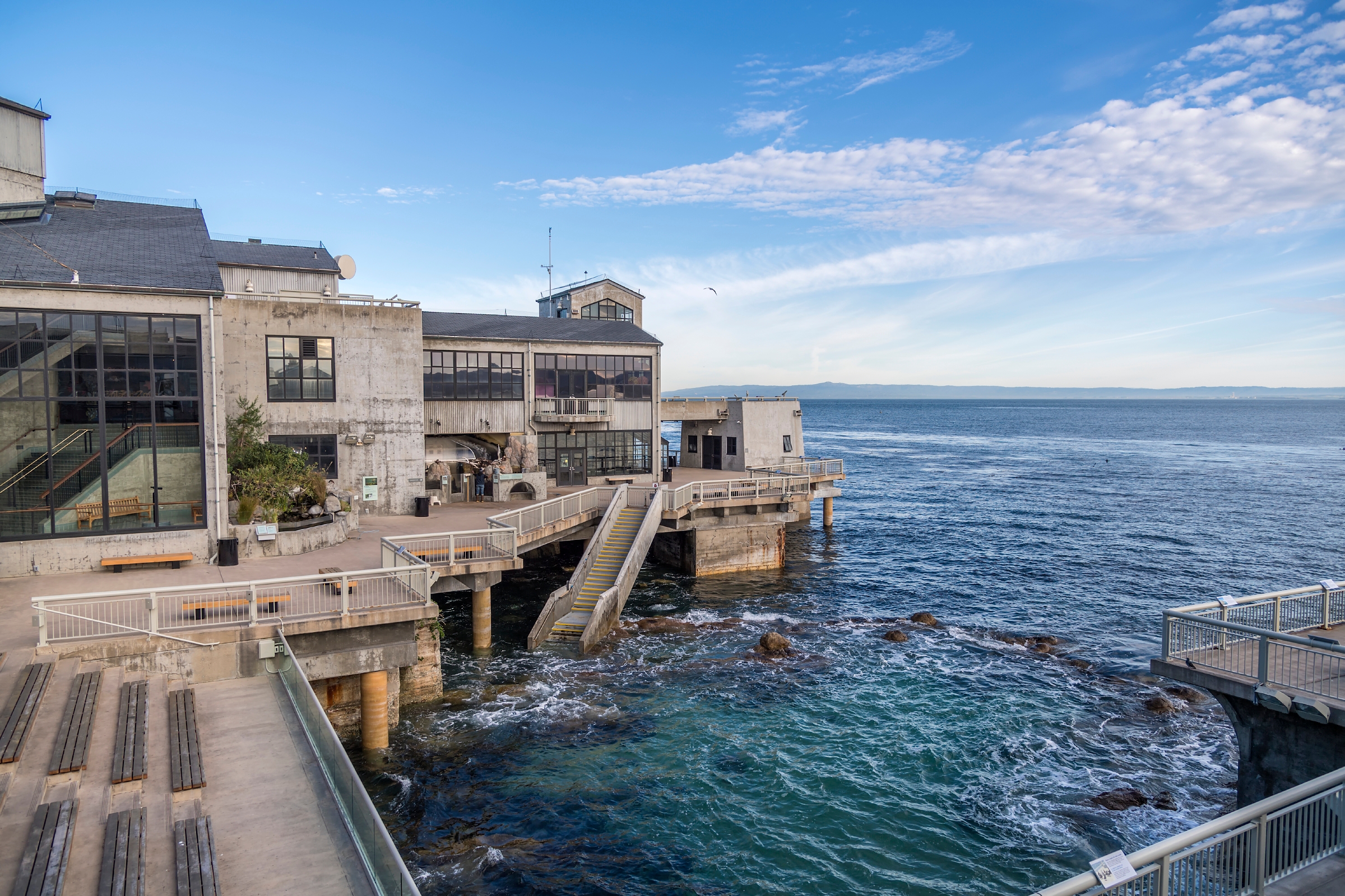 Evenings By The Bay Monterey Bay Aquarium August 24 Aquarium Views