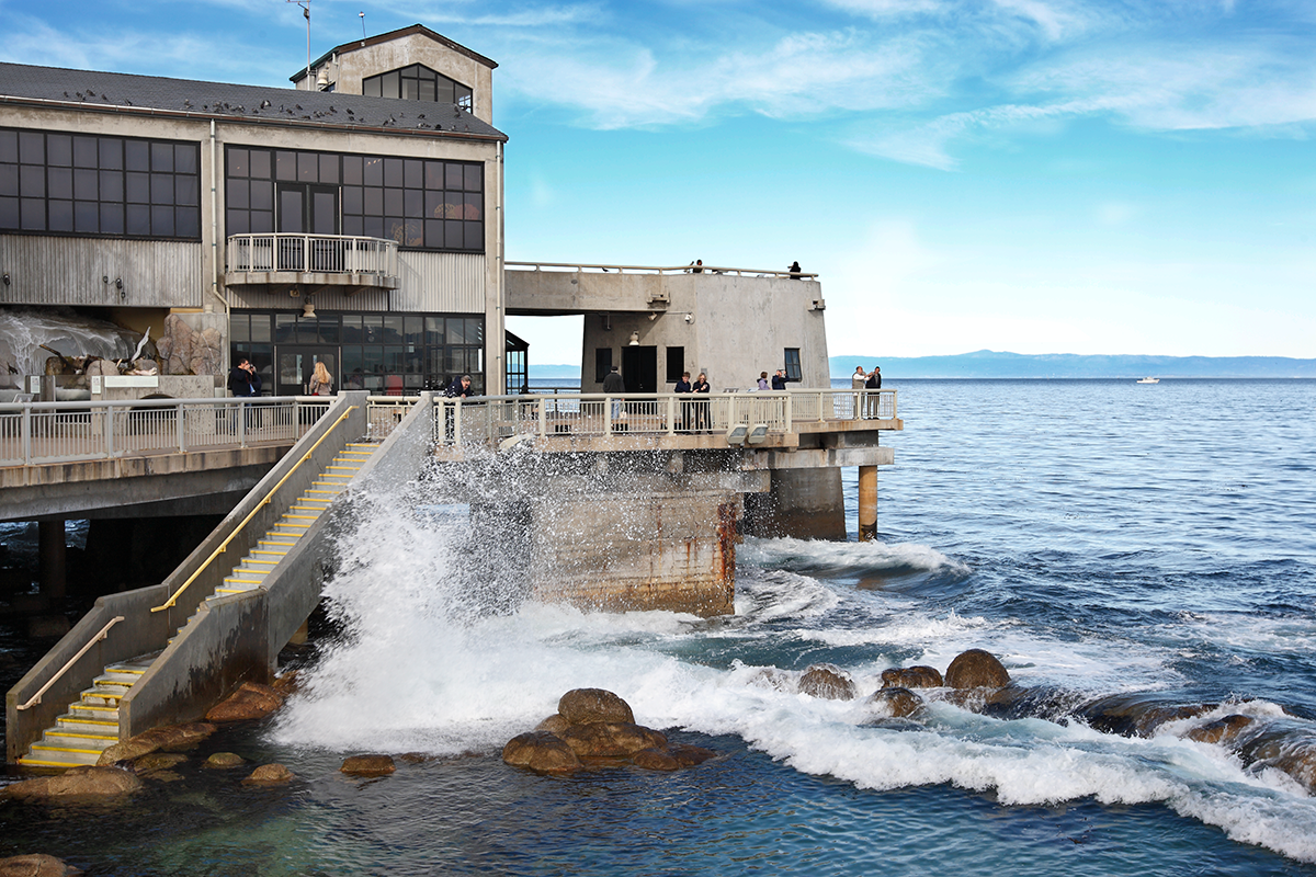 Press releases | Newsroom | Monterey Bay Aquarium
