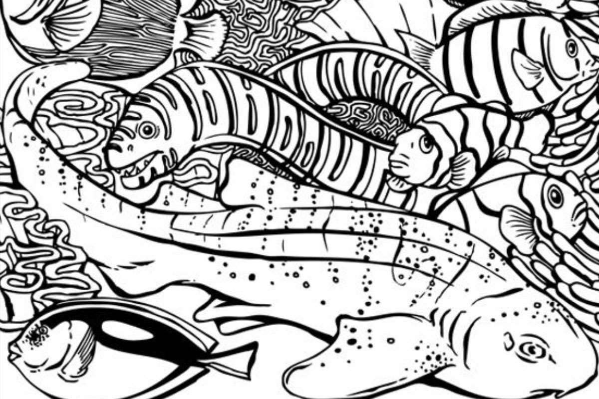 Coloring pages | Activities | Monterey Bay Aquarium coloring-pages-activities-monterey-bay-aquarium