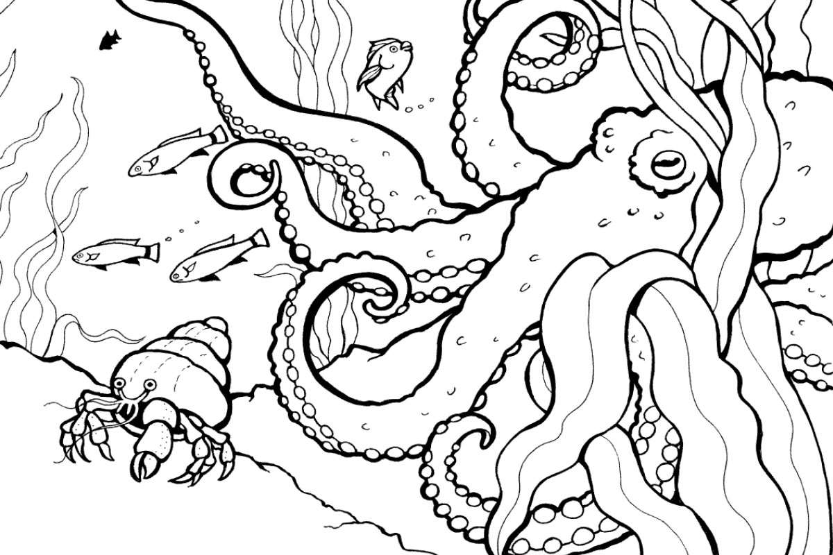 coloring pages kids coral reef free