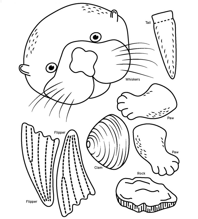 Sea Otter Awareness Week | Special Event | Monterey Bay Aquarium