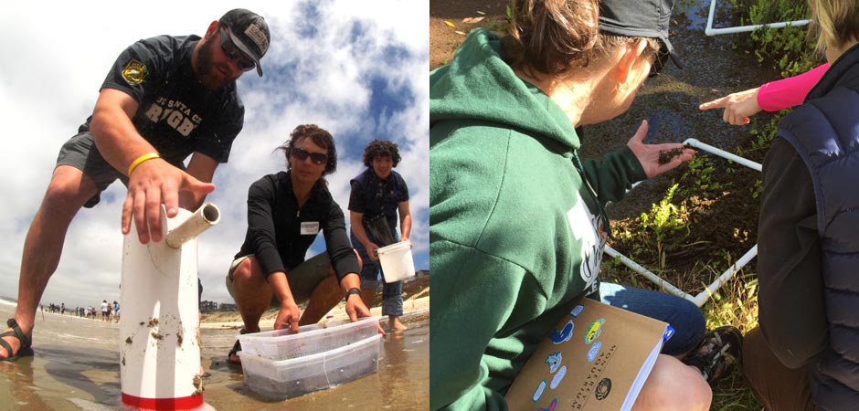 Educator programs Monterey Bay Aquarium