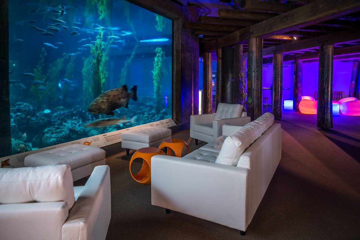Unique Bay Area corporate event venues Monterey Bay Aquarium