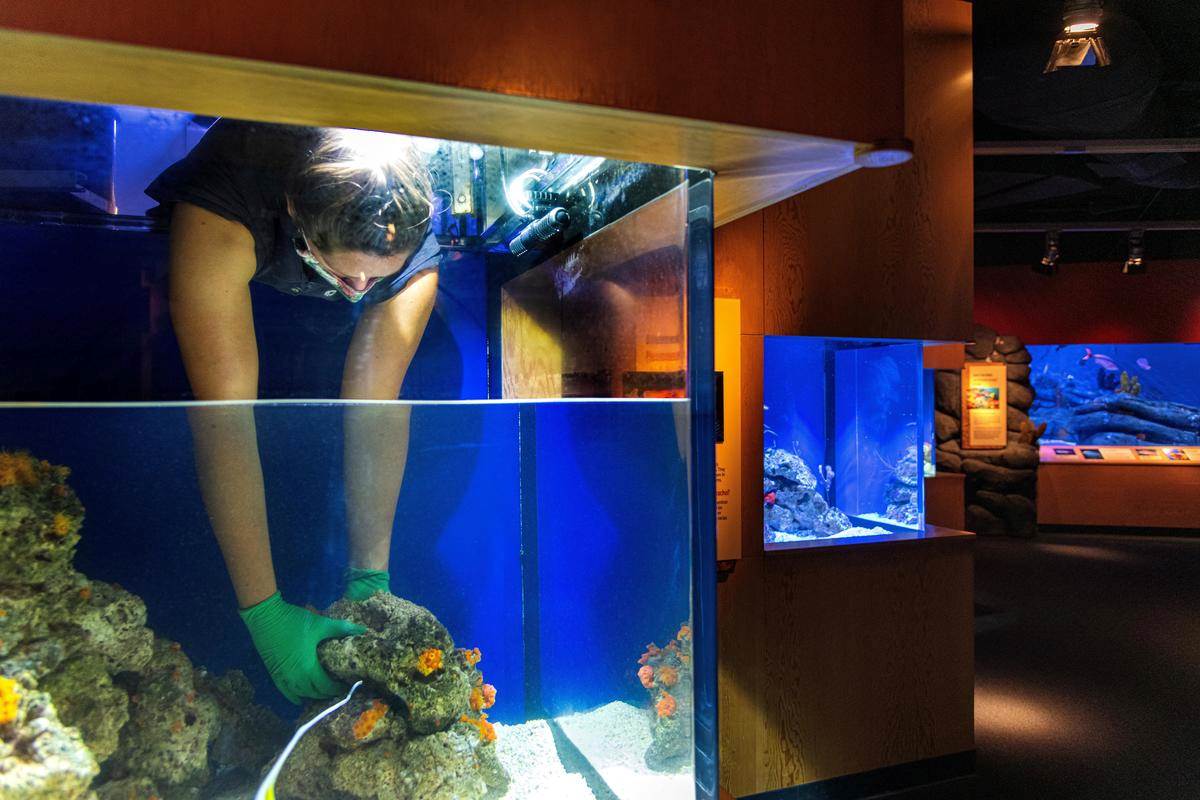 ¡Viva Baja! lives on Stories Monterey Bay Aquarium