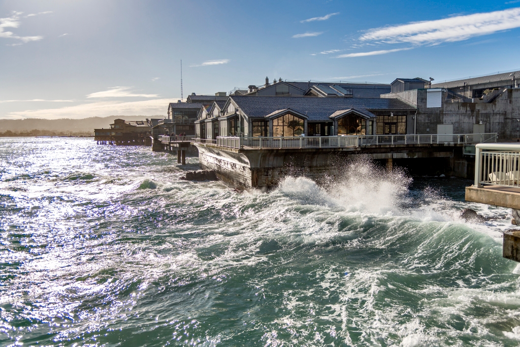 Bringing our net carbon emissions down to zero | Stories | Monterey Bay