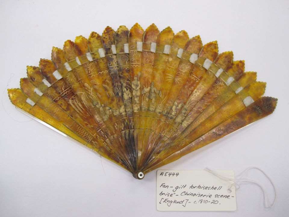 Historical tortoiseshell trade | Stories | Monterey Bay Aquarium