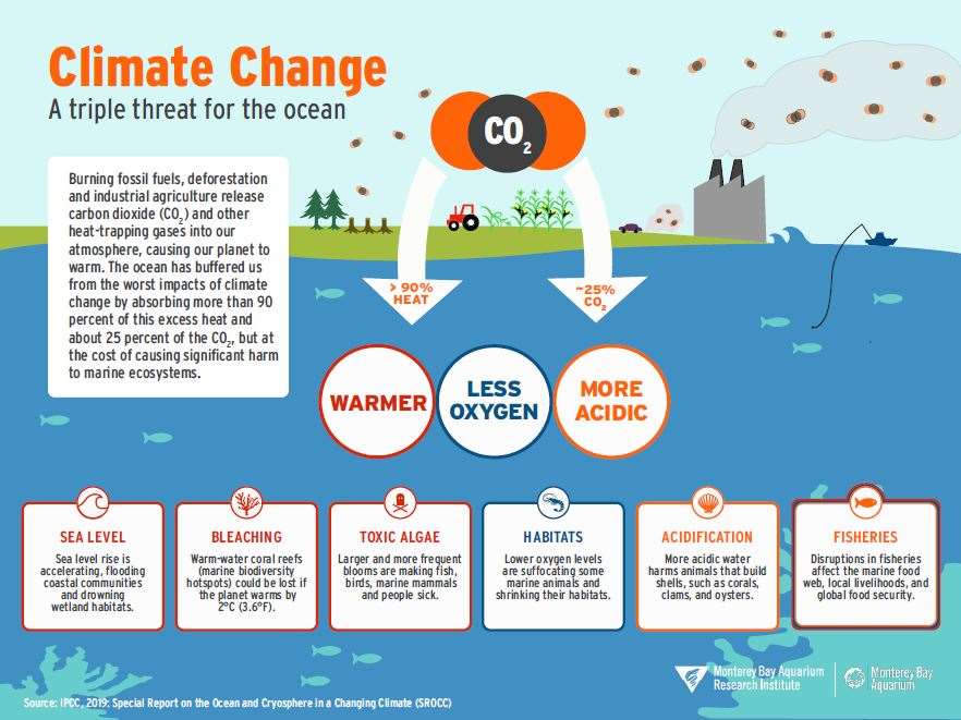 Climate Change: A triple threat for the ocean | Monterey Bay Aquarium