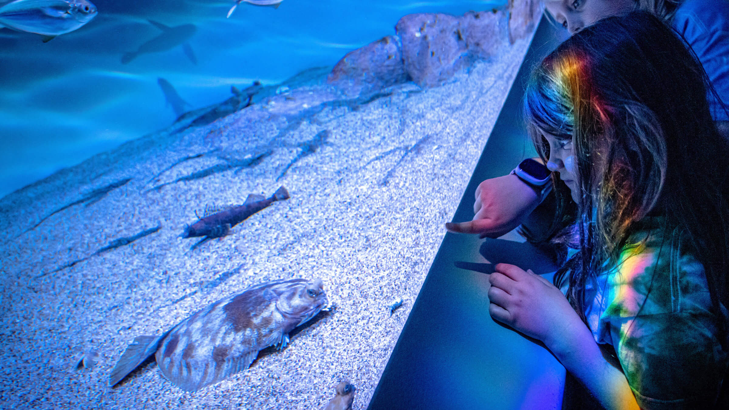 Monterey Bay Aquarium, image size:1900x962