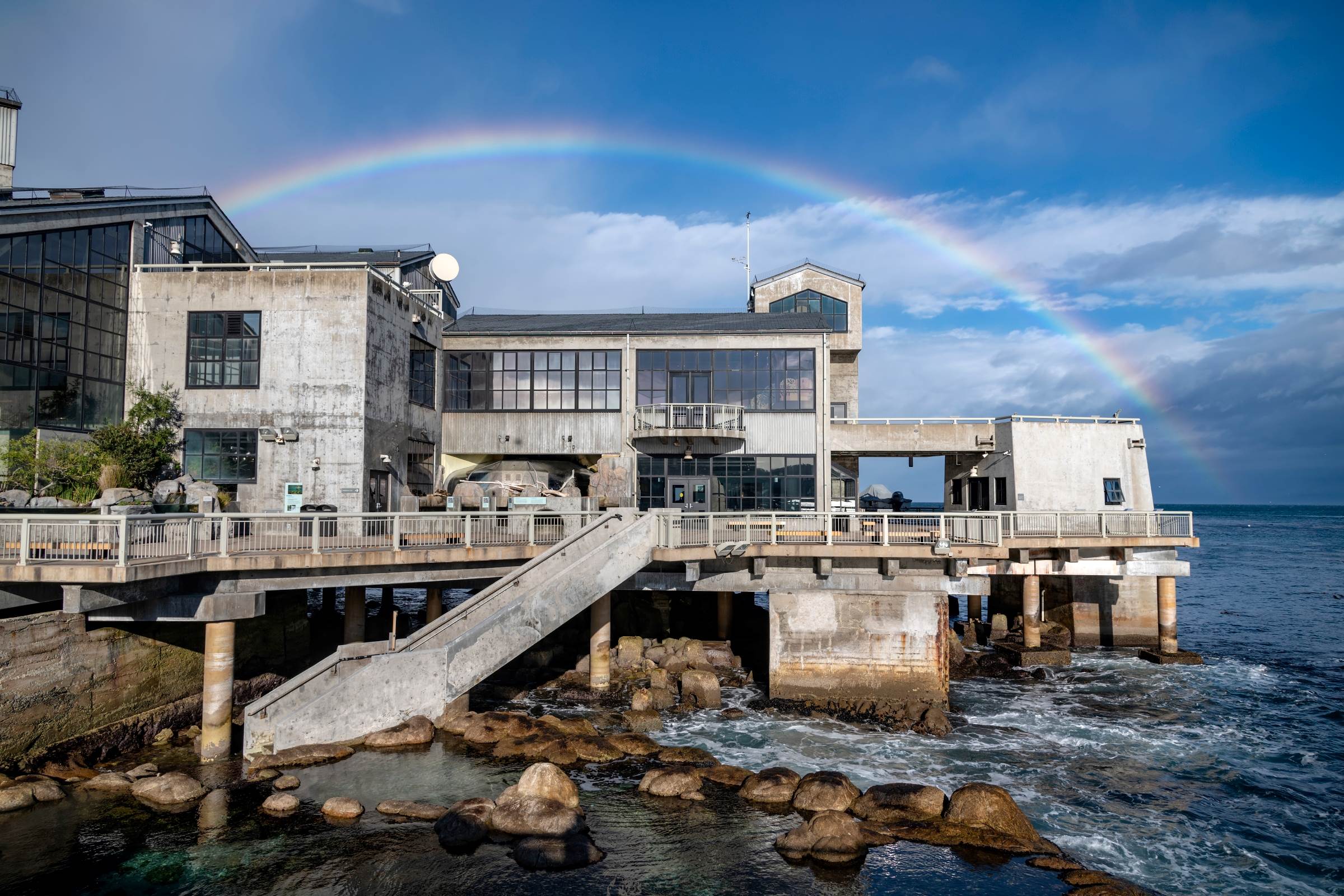 Monterey Bay Aquarium: Un monde sous-marin fascinant