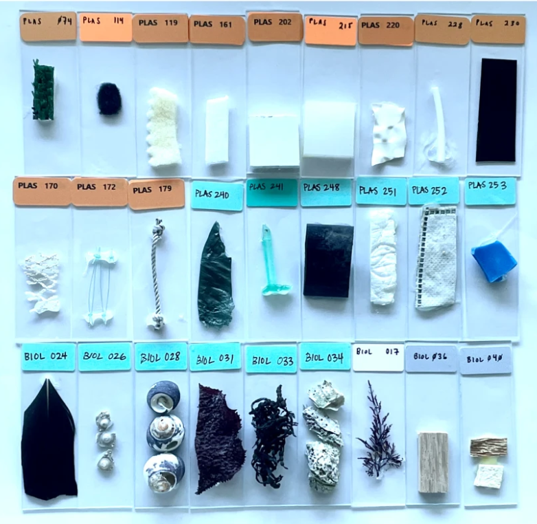 Monterey Bay Aquarium study creates new openaccess database to better