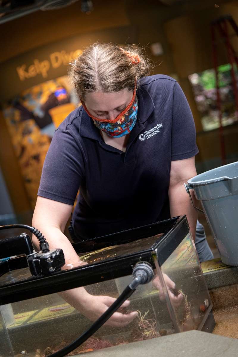 Keeping sustainability in mind while closed Stories Monterey Bay