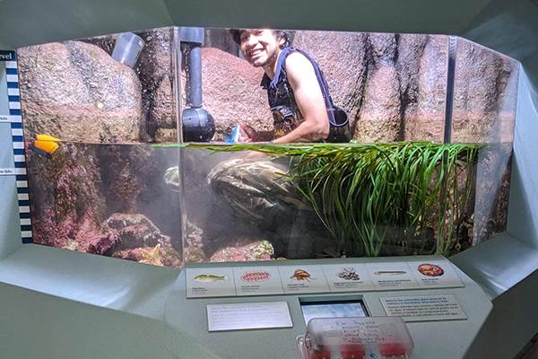 Meet Dalton Richardson, aquarist Teen Career Resources