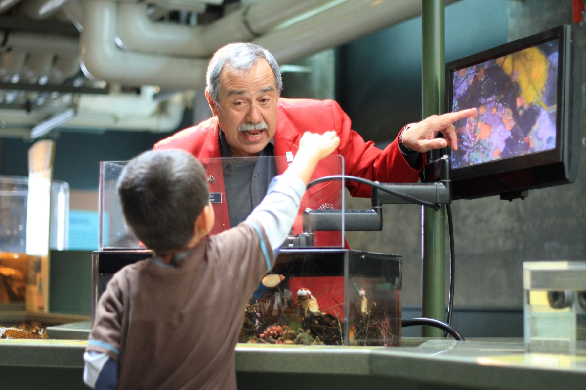Seasonal volunteer guide Monterey Bay Aquarium