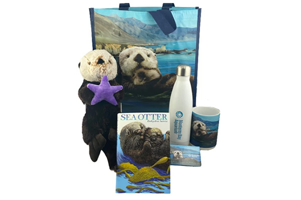 Sea Otter | Live cam | Monterey Bay Aquarium