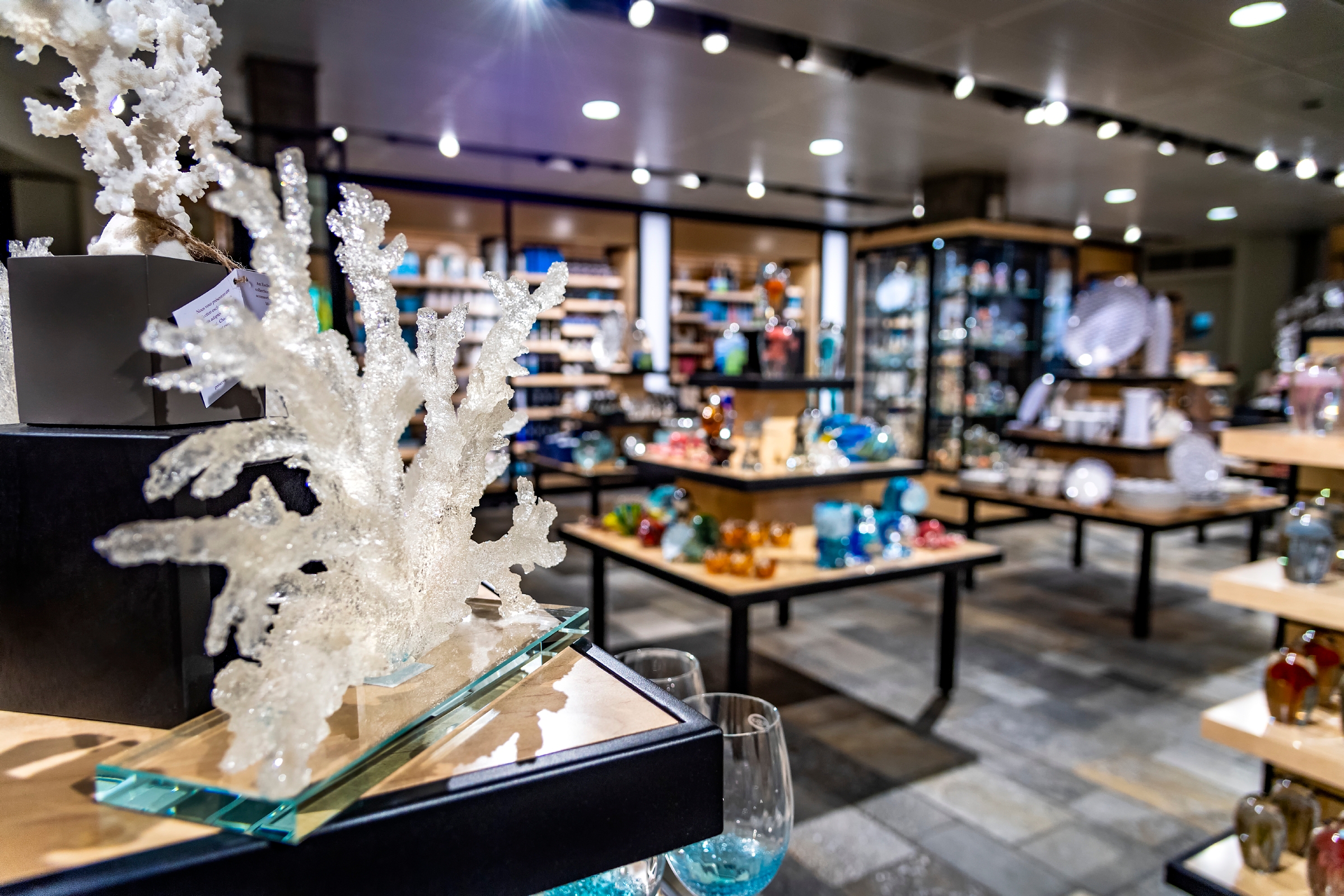 Aquarium Gift Shop Online