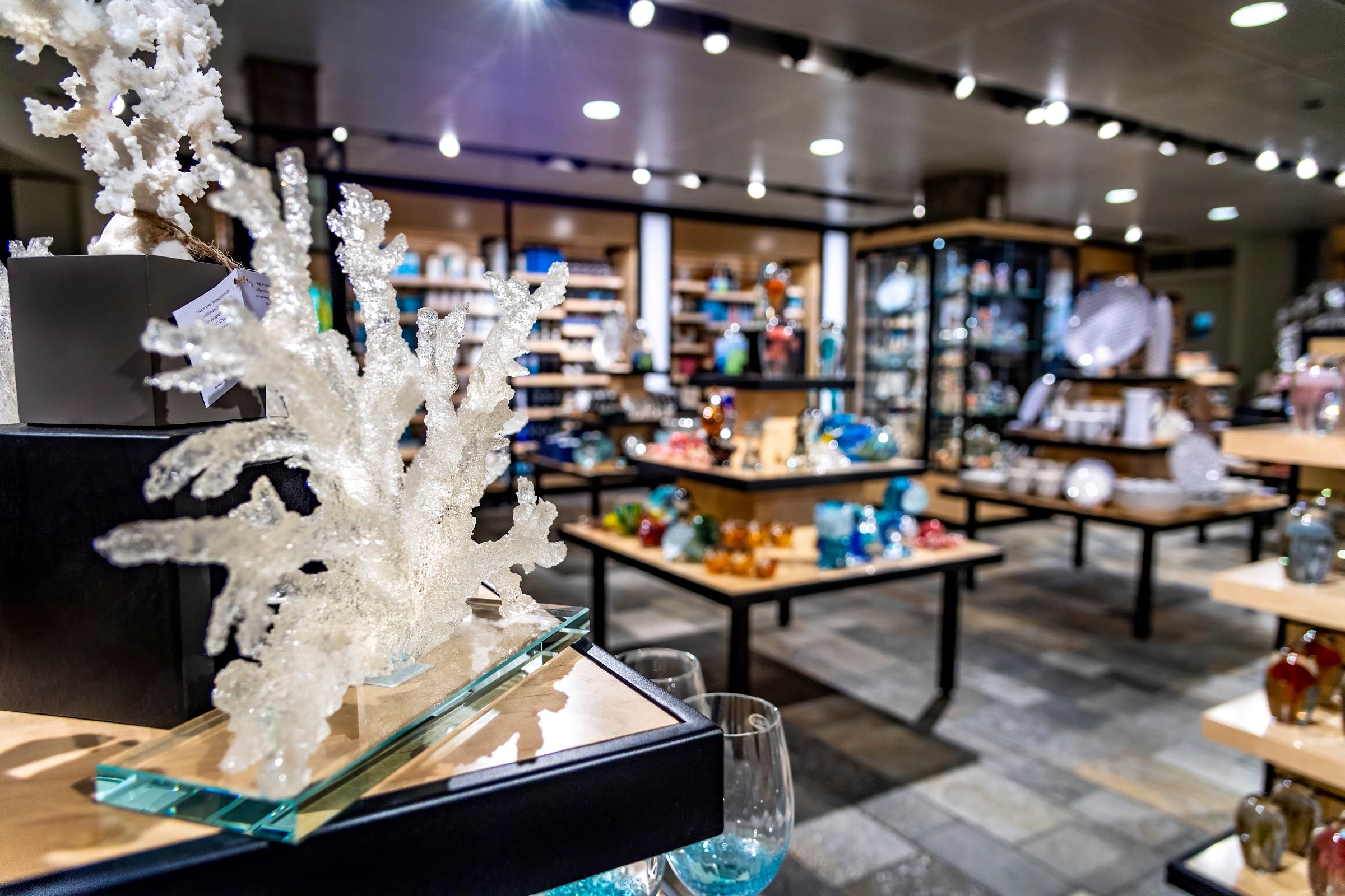 Bat ray Animals Monterey Bay Aquarium