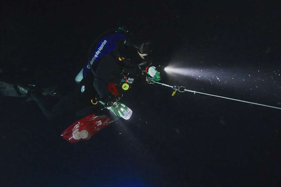 Diving deeper into blackwater scuba diving Stories Monterey Bay Aquarium