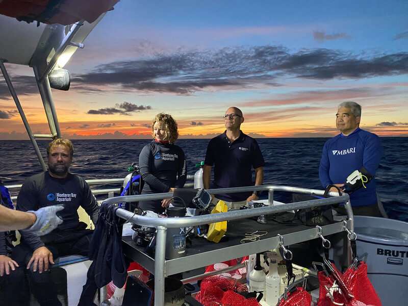 Diving deeper into blackwater scuba diving Stories Monterey Bay Aquarium