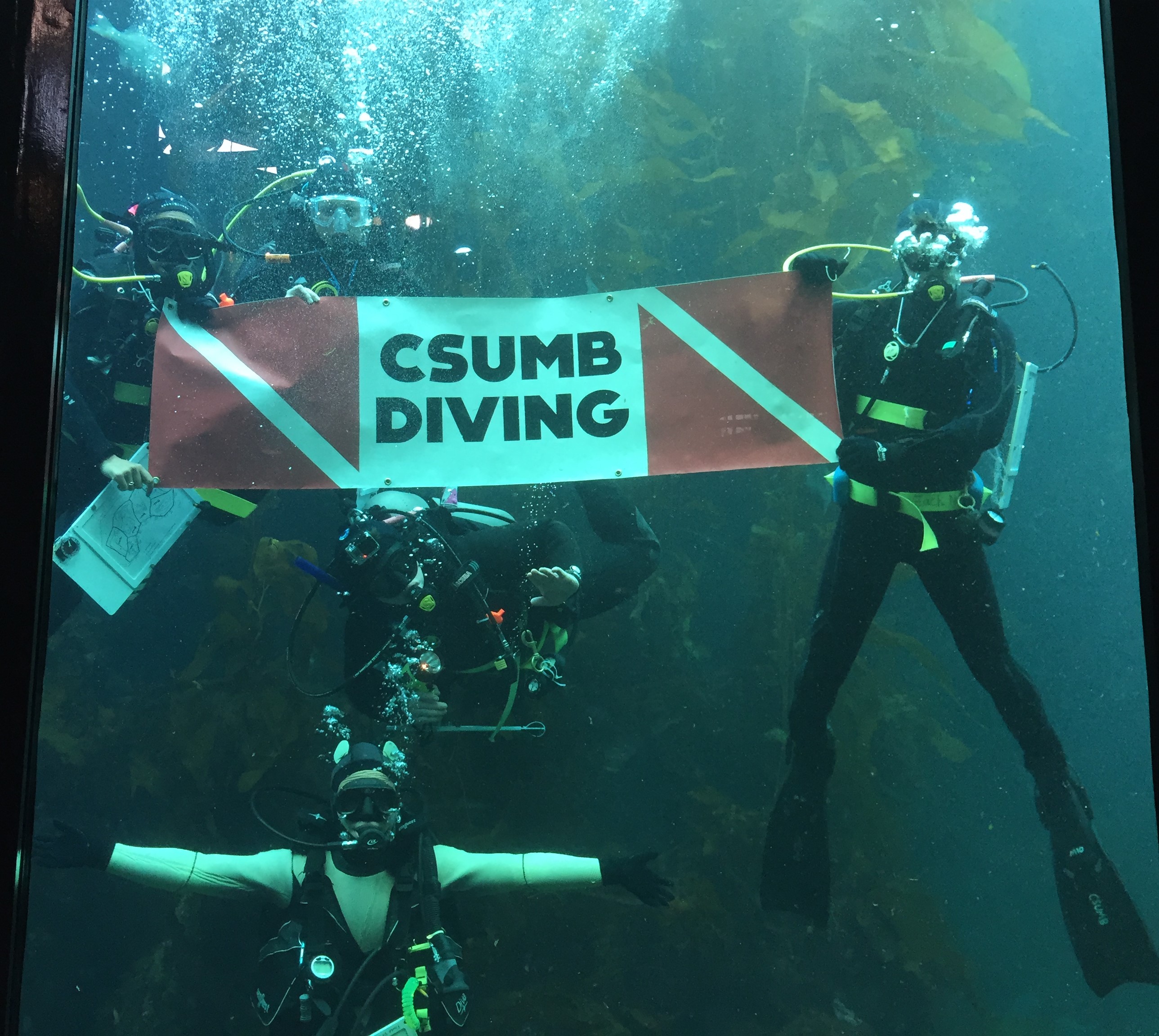 Our budding CSUMB connections Stories Monterey Bay Aquarium
