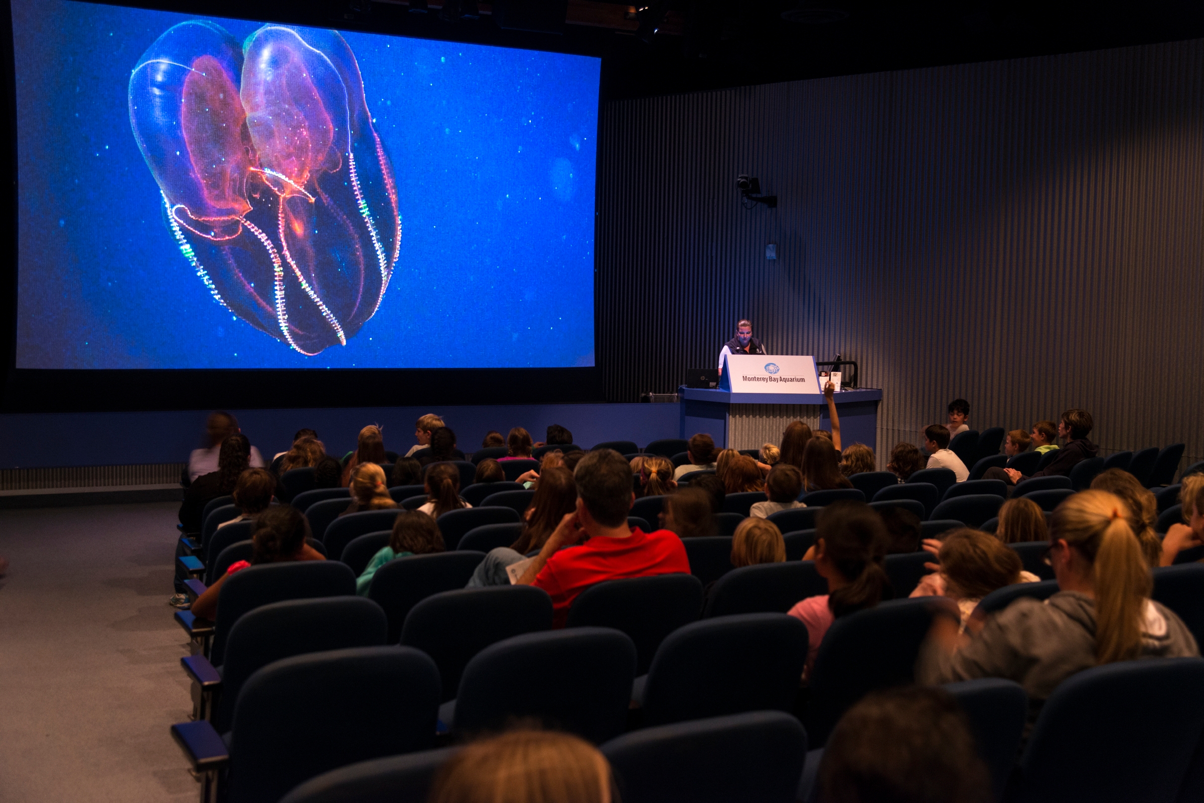 Sleepovers Monterey Bay Aquarium