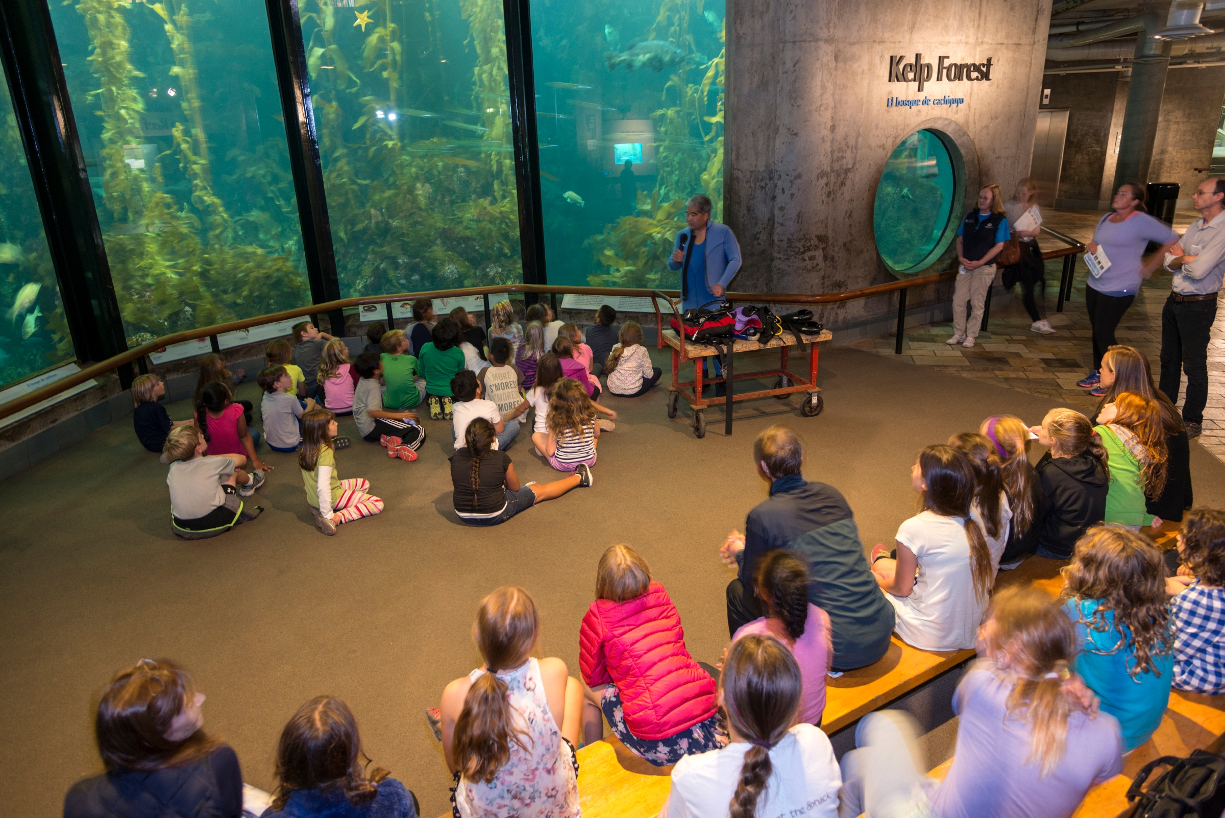 Sleepovers Monterey Bay Aquarium