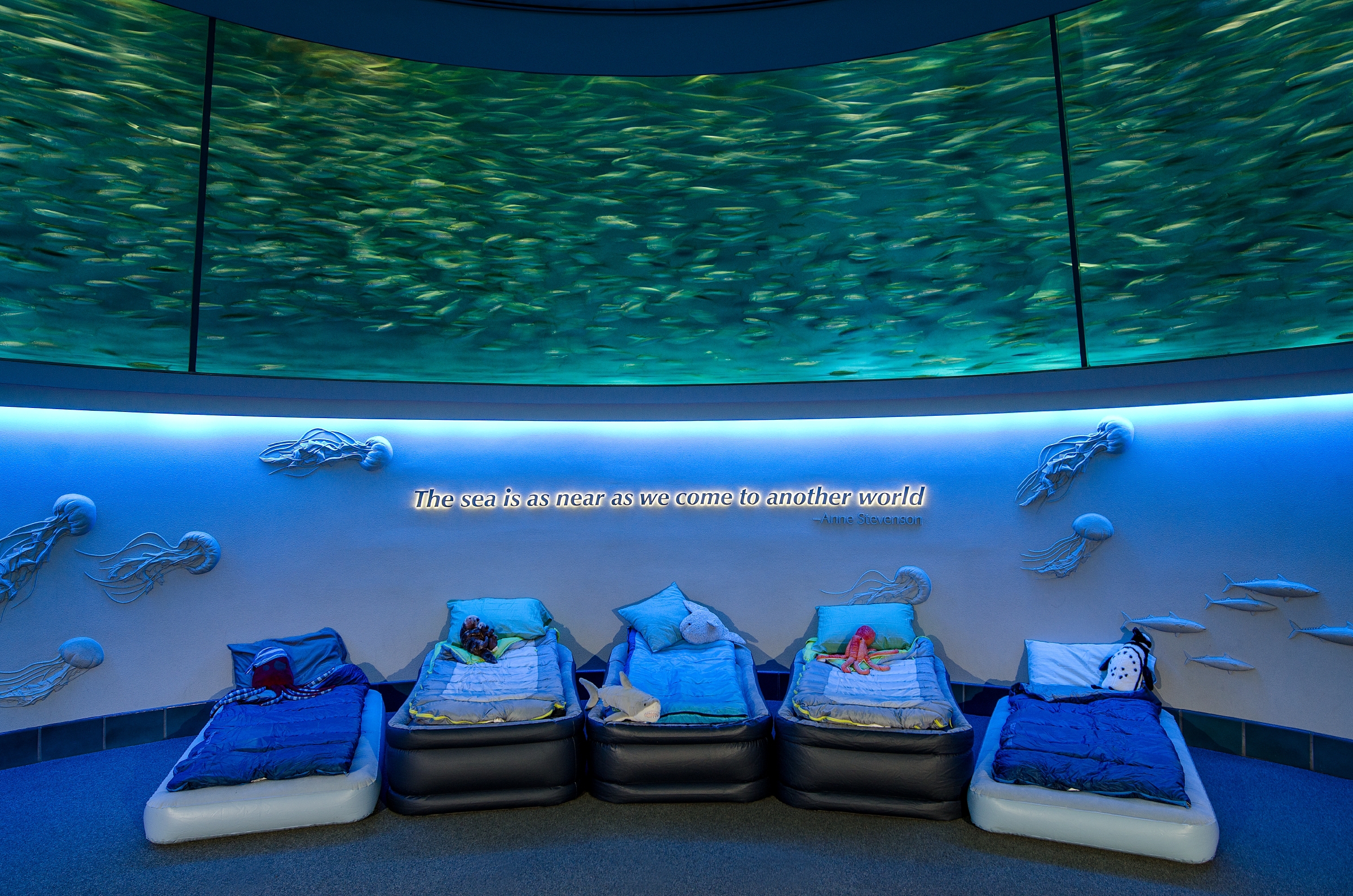 Sleepovers Monterey Bay Aquarium