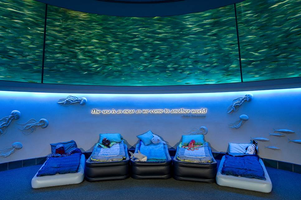 Sleepovers - Sleepover SarDine RounD Tr15 166 Sleepovers - Sleepover SarDine RounD Tr15 166