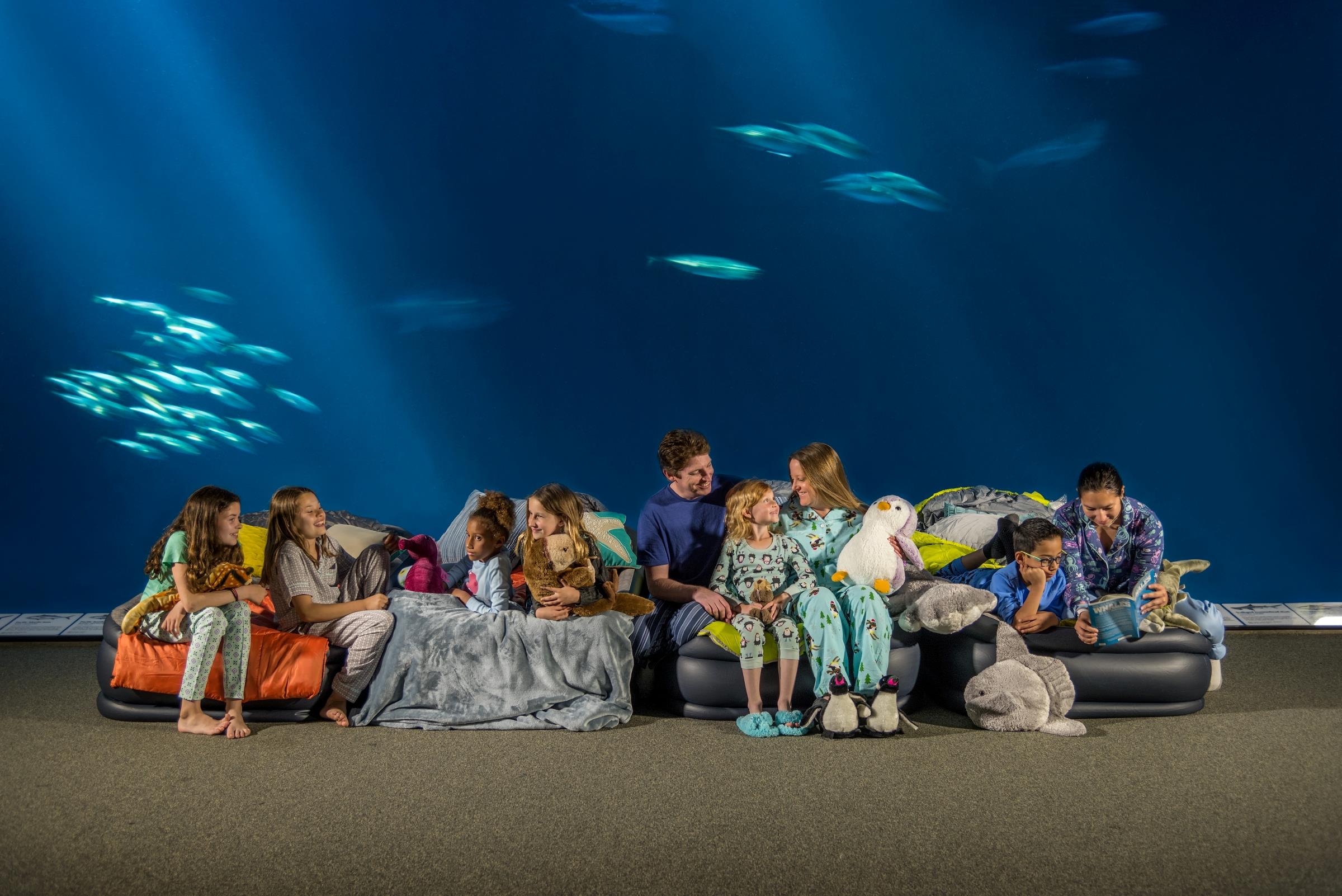 Custom group sleepovers Monterey Bay Aquarium