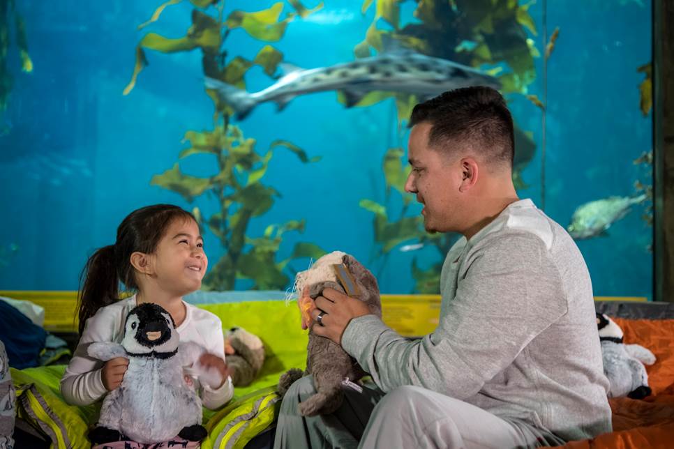 Sleepovers - Sleepover Tr17 1367 Sleepovers - Sleepover Tr17 1367