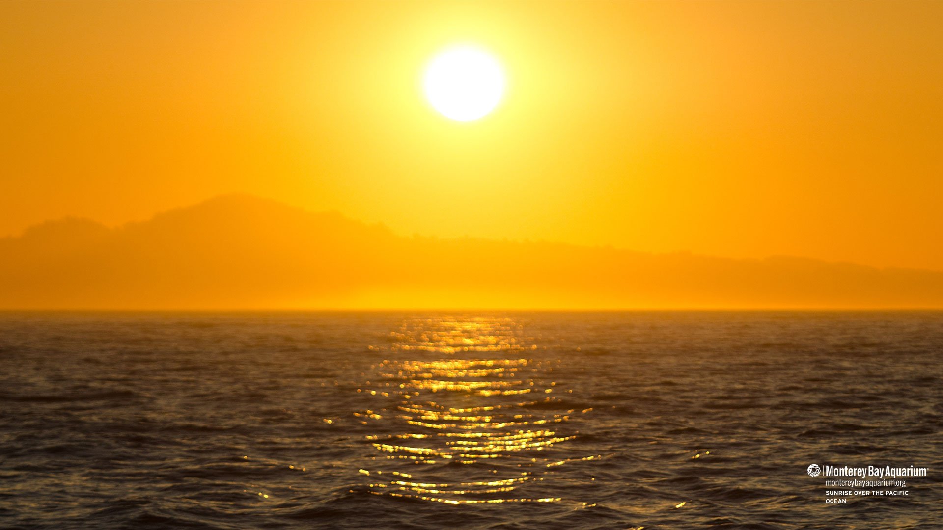 Sunrise over the Pacific Ocean | Wallpapers | Monterey Bay Aquarium