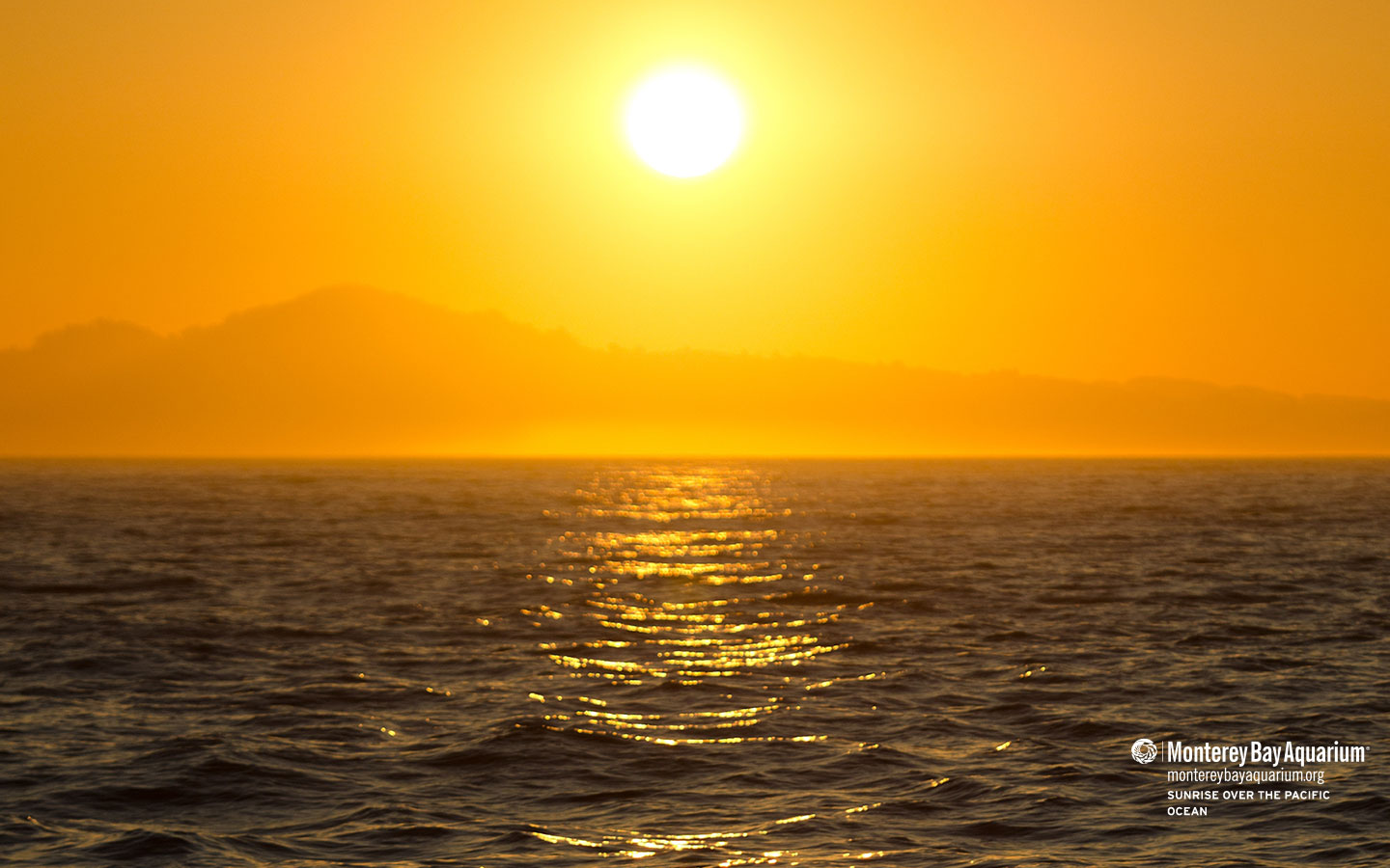 Sunrise over the Pacific Ocean | Wallpapers | Monterey Bay Aquarium