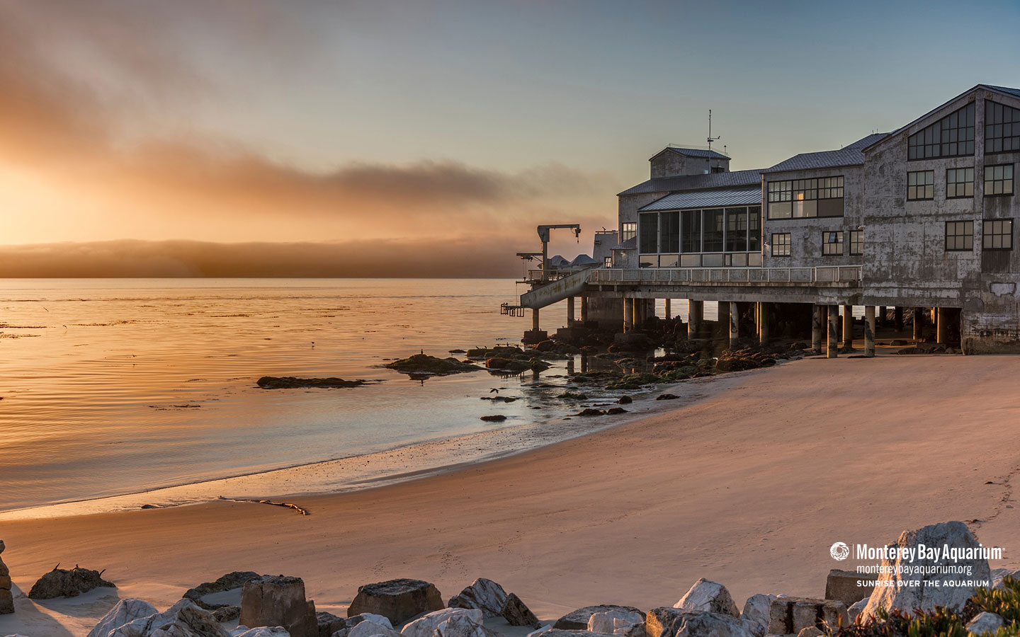 Sunrise Over The Aquarium Wallpapers Monterey Bay Aquarium