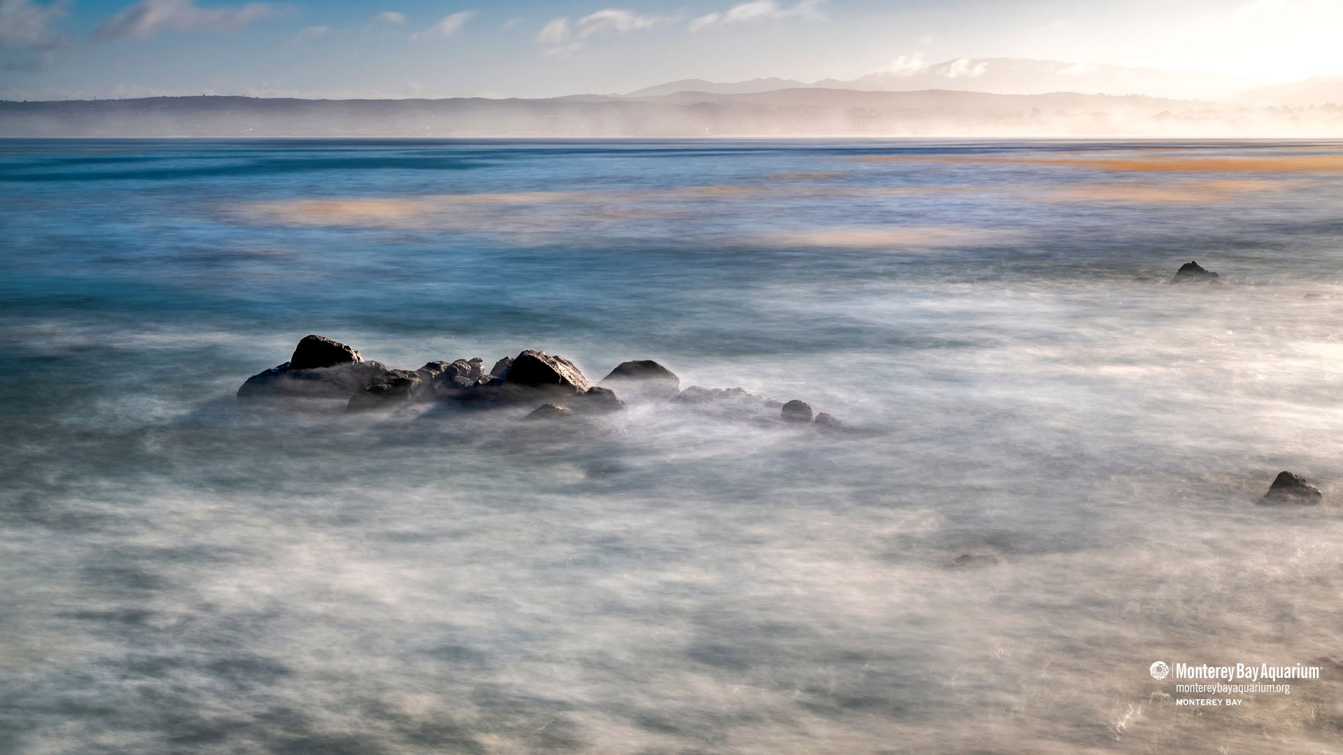 Monterey Bay | Wallpapers | Monterey Bay Aquarium Monterey Bay | Wallpapers | Monterey Bay Aquarium