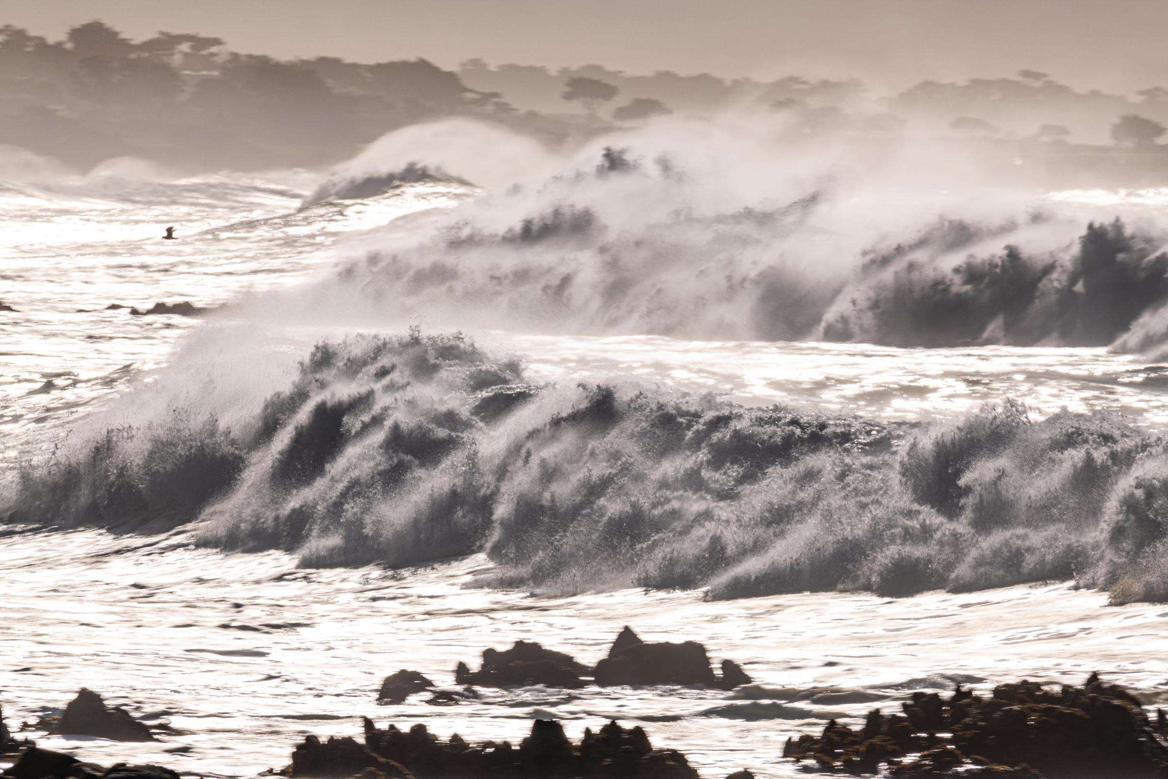 Monterey Bay king tides wallpaper from the Monterey Bay Aquarium