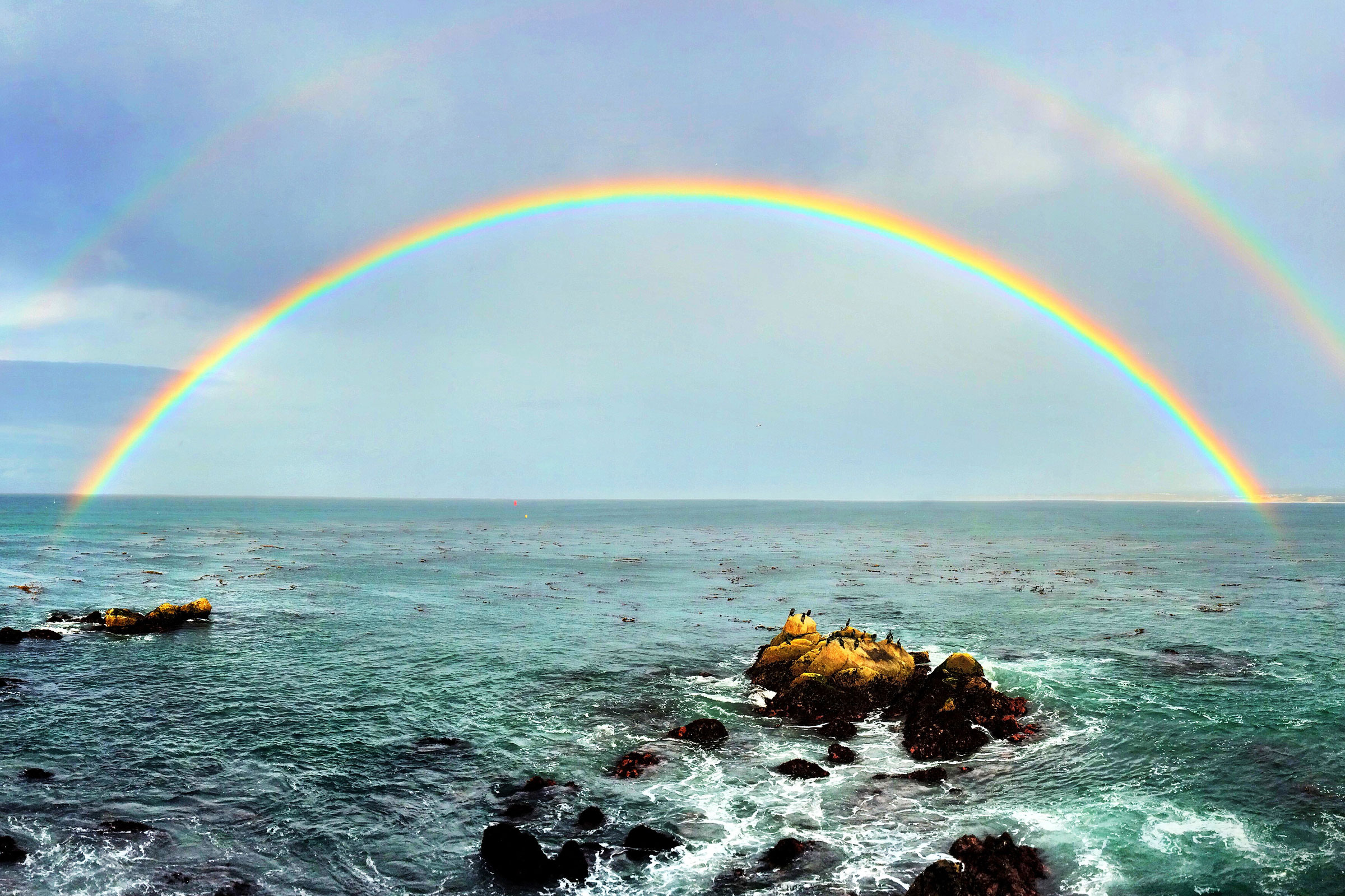 Rainbows Over Monterey Bay Wallpaper From The Monterey Bay Aquarium Rainbows Over Monterey Bay Wallpaper From The Monterey Bay Aquarium