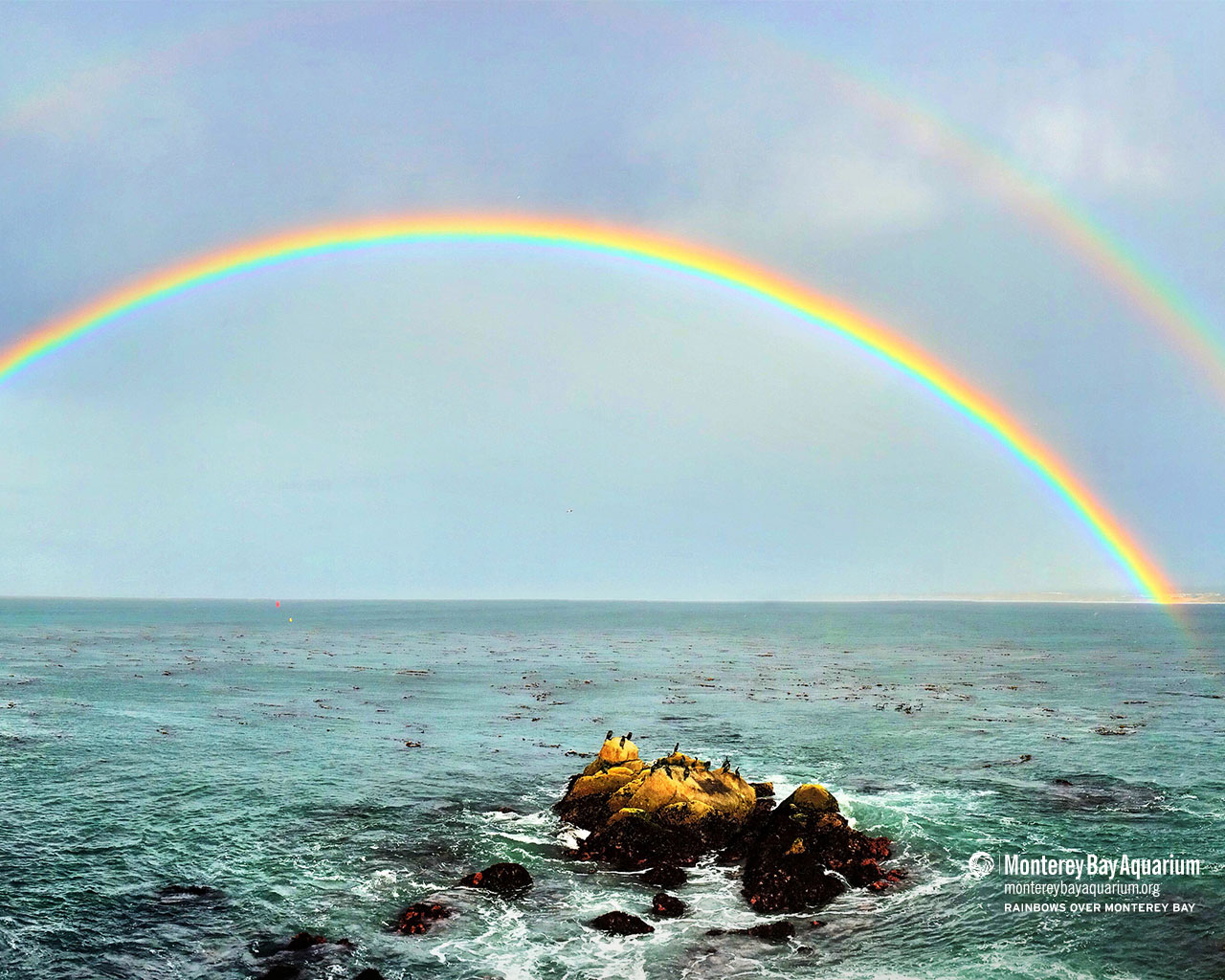 Rainbows Over Monterey Bay Wallpaper From The Monterey Bay Aquarium