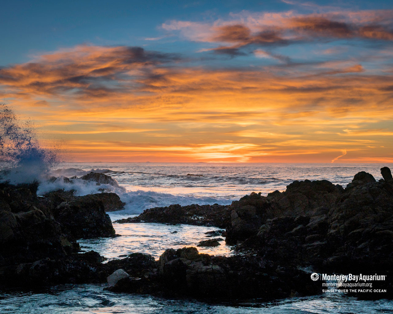 Sunset over the Pacific Ocean | Wallpapers | Monterey Bay Aquarium