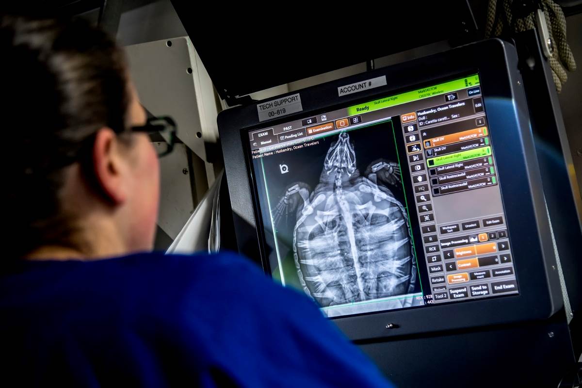 Job opportunities Monterey Bay Aquarium