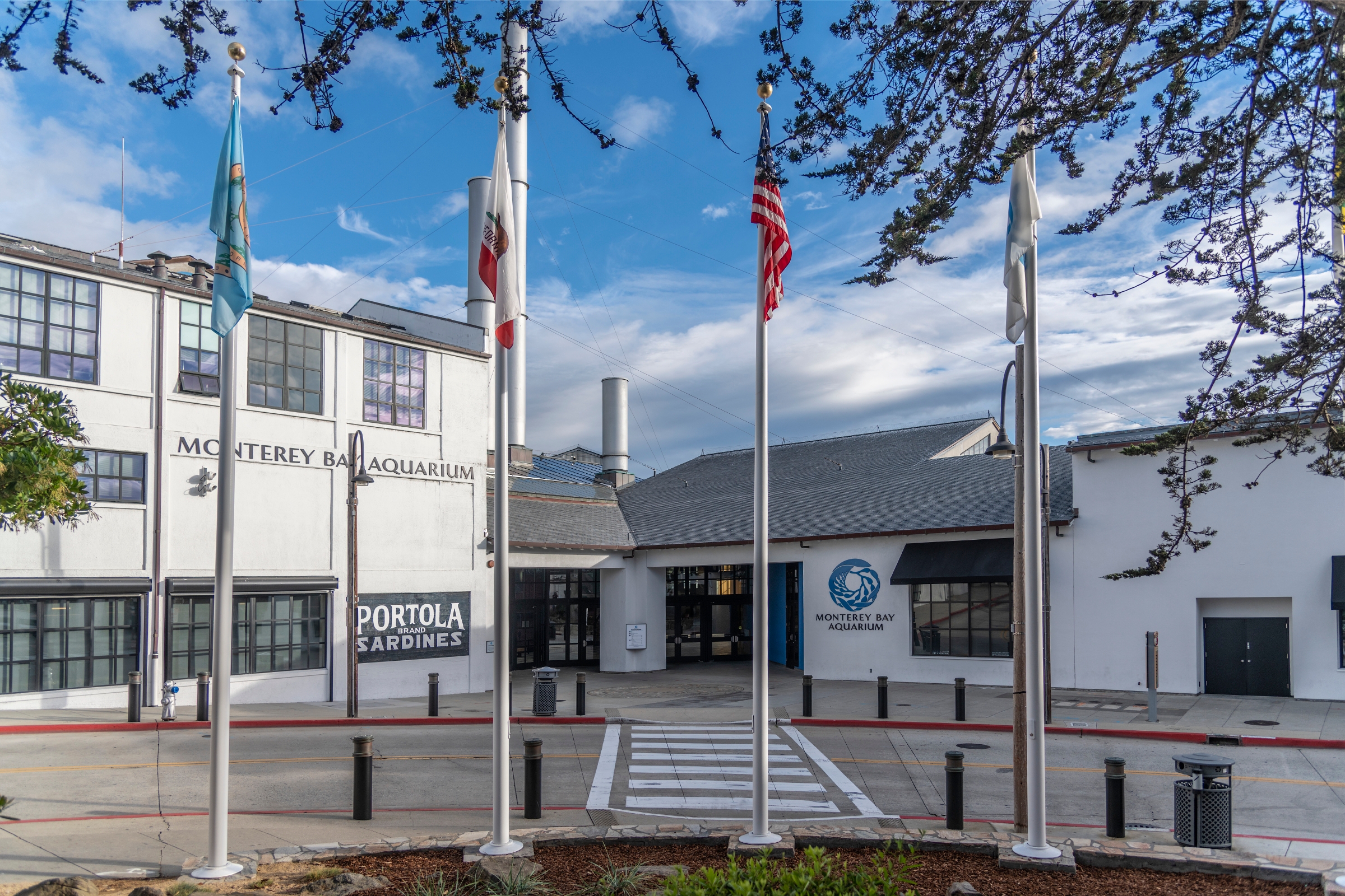 monterey-bay-aquarium-to-reduce-staff-and-senior-level-salaries-in
