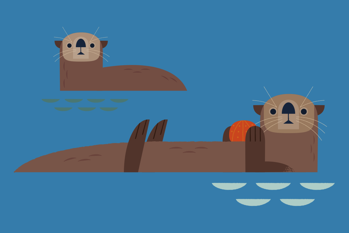Sea otter personality quiz | Stories | Monterey Bay Aquarium